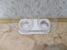 Cat-Bowls Products Pet-Food Raised-Stand Pet-Supplies Cats-Dogs-Feeders Non-Slip Double