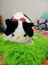 Estuche de lápices kawaii para niñas, estuche escolar de felpa con diseño de gato, de lona, estuche escolar para lápices