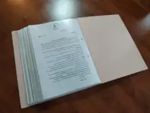 JIANWU-Bolsa de archivos A4 morandy, 100 páginas, libro de datos, gran capacidad, portafolio de carpetas, papelería de oficina