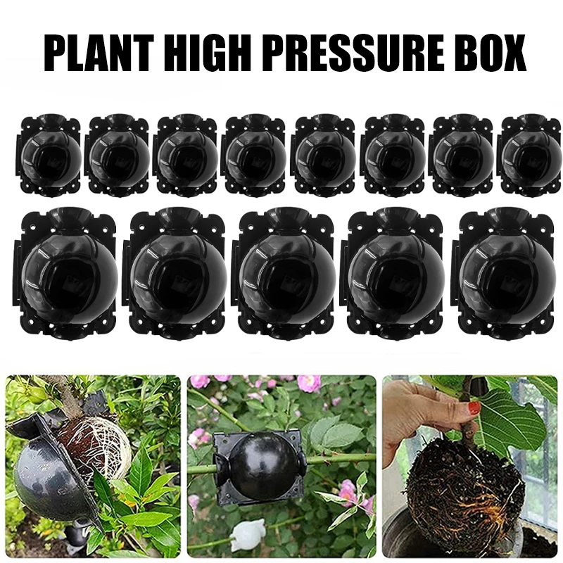 10-100pcs Plant High Pressure Propagation Balls Grow Grafting Rooting Device Box 
