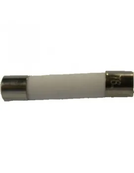 

Microwave fuse standard diameter 5,0x20mm 12,5 Amps