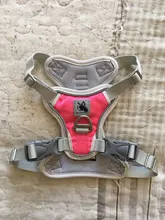 Harness Vest Pet-Products Collar Soft-Lining Walking-Training Reflective Adjustable Small