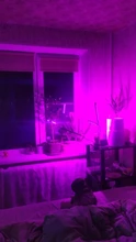 Phyto-Lamp Grow-Light Flower Seedlings Goodland USB Full-Spectrum For Plants LED 