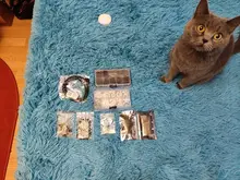 50 Uds 6X6X5/4,3/5,5/6/7/8/9/10/13MM tacto interruptor de botón de empuje interruptor 12V cobre 4PIN DIP Micro interruptor para TV/juguetes/home/botón de uso