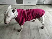 3XL-9XL Big Dog Clothes Winter Large Size Pet Clothing Golden Retriever Dog Coats Solid