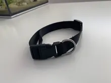 Collar de nailon para perros medianos y pequeños, hebilla de pinza resistente, para Chihuahua, rojo, negro, Azul, Morado, 20