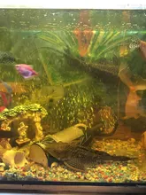 Pump Diffuser Tube Bubble-Bar Oxygen Aquarium Air-Stone Fish-Tank Wall Hydroponic Hose