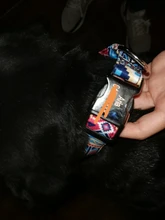 Dog-Collar Dogs Pitbull Adjustable Print Custom Personalized Nylon for Small Large Pet-Cat