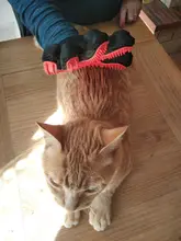 HOOPET Gato Guantes de Masaje Peine Del Pelo Del Cepillo de Baño Para Mascotas Perro Mascota de Aseo productos de Limpieza