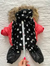 Coat Dogs-Clothing Dot-Pattern Winter Hooded Pet-Dogs New Xl To High-Quality