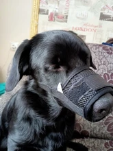 De policarbonato para perros ajustable máscara ladrar morder de la boca de malla boca aseo Anti deja de masticar