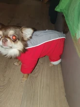 Winter Overalls for Dogs Warm Waterproof Pet Jumpsuit Trousers Male/ Female Dog Reflective