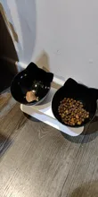 Cat-Bowls Products Pet-Food Raised-Stand Pet-Supplies Cats-Dogs-Feeders Non-Slip Double