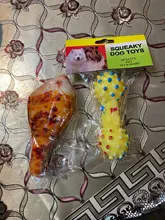 Kit de cortadora de pelo para perros, afeitadora recargable por USB Gato, bajo ruido, cuchilla de repuesto