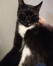 Glasses Props-Accessories Pet-Products Pet-Supplies Photos Cat Little Toy for Dog Eye-Wear