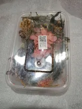 1 caja de hojas de flores prensadas reales, resina de margaritas secas, calcomanías de belleza para uñas, moldes de epoxi, embellecedores para fabricación de joyas