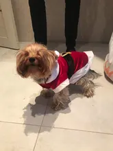 Costume Jackets Yorkie-Outfit Cat-Clothing Puppy Small Dogs Coat Hooded Pet-Dog Winter Dog