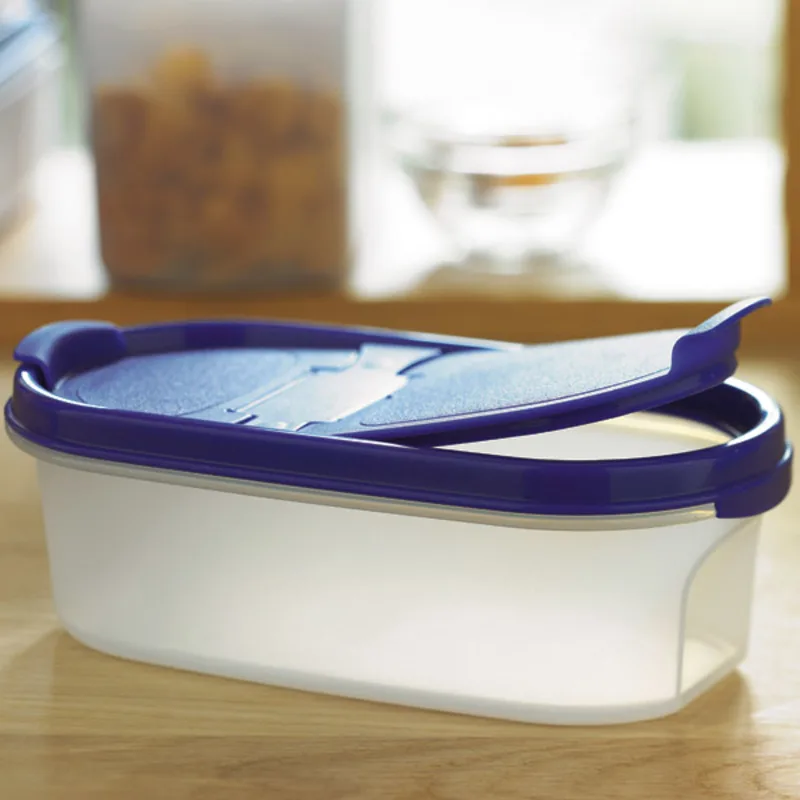 КОМПАКТУС ОВАЛЬНЫЙ(500 МЛ) С КРЫШКОЙ Tupperware