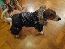 Coat Dogs-Clothing Dot-Pattern Winter Hooded Pet-Dogs New Xl To High-Quality