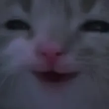 M***v