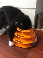 Torre de juguete de Gato de tres niveles, juguete para gatos, disco de diversión, para entrenamiento de pelota