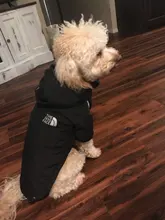 Jacket Clothing Puppy-Coat Dog-Face Dogs Reflective Waterproof Winter Apparel Small Medium