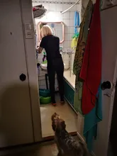 Waterpulse-irrigador Dental V500 portátil, dispositivo de limpieza Dental inalámbrico, con chorro de irrigación, 4 modos, 200ml, resistente al agua