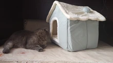 HOOPET-casa de perro para interior, cálida perrera, nido de cueva de Gato, nido de conejo, esterilla extraíble lavable, cama de dormir acogedora para gatos