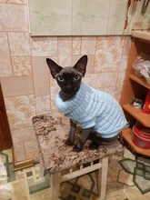 Sweater Clothing Jacket Winter Coat Knitted Cats Kitty Cotton Warm Leisure for Small
