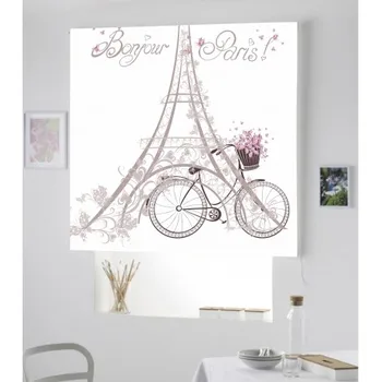 

Blind Iroa Digital Paris Bicycle ROLLER BLINDS TRANSLUCENT! (100X170)