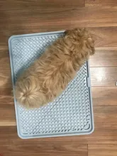 Pet Cat Dog Toilet Grid Tray Bedding Training Dog Bed Litter Box Tray for dogs Detachable