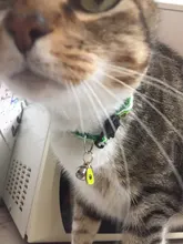 Patrón de flor de nueva moda gato ajustable Collar con cascabel Collar para gatos cachorro mascotas plomo correas para mascotas