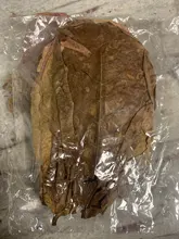 Betta Fish Shrimp Aquarium Almond-Leaves Natural Indian 10pcs Habitat Terminalia Kill-Bacteria