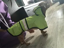 Jumpsuit Hoodies Pet-Coat Rain-Jacket Reflective French-Bulldog-S-2xl Waterproof Medium