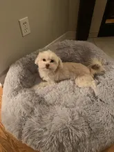 Perrera larga de felpa supersuave para mascotas, saco de dormir redondo, tumbona para casa de gatos, cesta de sofá cálido de invierno para perros pequeños, medianos y grandes