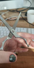 Tijeras profesionales de acero inoxidable para peluquería, herramienta para el cuidado del cabello, TLS Tls, 1 Uds.