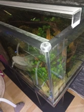 Luz LED para acuario superfino, iluminación para cultivo de plantas acuáticas, lámpara de Clip brillante impermeable, LED azul de 18-75cm para plantas de 220v