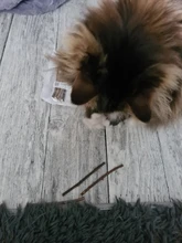 10/15/20pcs/lot Natural Matatabi Pet Cat Snacks Sticks Cleaning Tooth Catnip Cat Toys