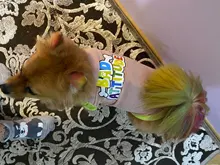 Camiseta suave de verano para perro y gato, ropa para perros pequeños, Chaleco de dibujos animados para suministros para Mascotas y Cachorros, camiseta suave