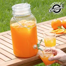 Ледяной холодный напиток Винтаж кокосовое стекло дозатор напитков