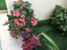 Alarma de Sensor de movimiento Solar infrarrojo con sirena de 110db, luz estroboscópica para el hogar, jardín, cobertizo, carván, sistema de alarma de seguridad, nuevo