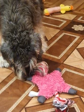 Dog-Toys Pets-Accessories Puppy Animals-Shape Plush Small Dogs Squeaker Ropes for 