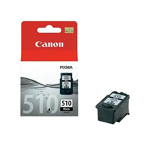 Чернильный картридж Canon CCICTO0243 2970B001 черный