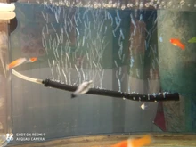 Pump Diffuser Tube Bubble-Bar Oxygen Aquarium Air-Stone Fish-Tank Wall Hydroponic Hose