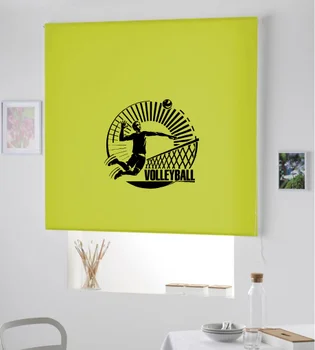 

Blind Iroa rolling Youth sports/Volley Ball! ROLLER BLINDS TRANSLUCENT! (PISTACHIO 100X175)