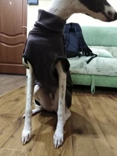 Clothing Pullovers Pet-Coat Pitbull Dogs High-Collar Winter Mascotas Large Medium Big