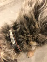 Dog-Collar Engraved-Xs-L Puppy-Id-Name Adjustable Custom Airuidog Personalized