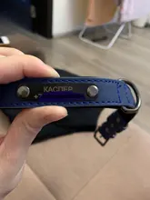 Collar Pet-Products Puppy Engraved French Bulldog Small Dogs Custom Personalized Pug