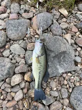 Fishing-Lure Salt-Smell Worms Soft-Bait Carp Bass-Pesca Artificial Silicone with 10pcs