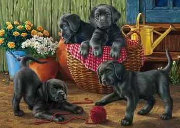 

Drawing on wood by numbers (24 colors) 40x50 cm "playful puppies" Red Cat awd035